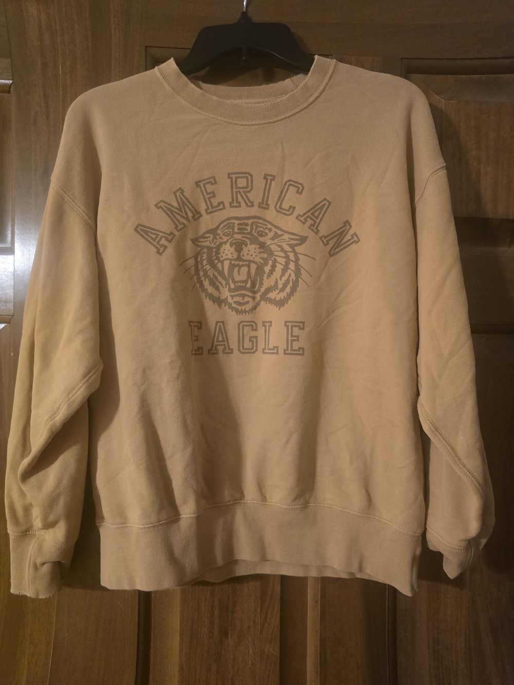 American Eagle Outfitters Crewneck Sweatshirt